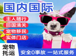 黄花航空空运国际宠物托运 【国